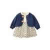 Ropa Infantil Xiyu 2026 Colección Nueva Primavera Conjunto de Dos Piezas para Niñas Conjunto de Vestido de Manga Larga Chaqueta de Mezclilla Venta al por Mayor