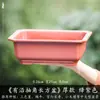 Maceta Rectangular Pequeña de Resina para Uso Doméstico, Cerámica de Imitación Arena Púrpura, Adecuada para Plantas Verdes, Bonsái de Árbol de Banyan, Venta al por Mayor