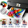 Suministrado directamente por el fabricante: Papel de impresión autoadhesivo transparente PET para inyección de tinta A4, etiquetas autoadhesivas de alta transparencia, resistente al desgarro, venta al por mayor