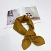 Lenço Jm Liso Imitação de Seda para Mulheres, Faixa de Cabelo Simples e Versátil, Lenço Decorativo para Pescoço para Uso Profissional Atacado