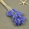 Flores Secas, Cola de Conejo, 60 Piezas/Manojo, Ramo de Lujo Ligero, Adornos de Flores Reales, Pequeño Ramo de Flores Eternas Regalo, Materiales de Flores Reales