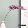 Flor artificial de alta qualidade 7 cabeças phalaenopsis orquídea artificial arranjo de flores para sala de estar bonsai decoração de feriado casamento flor