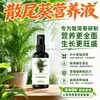 Solución Nutricional Especial para Palma Areca Fertilizante para Flores Hojas Amarillas Palma de Bambú Fertilizante Especial Bambú Hawaiano Coco Rico en Bambú Fertilizante para Árboles
