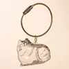 Caixa de Armazenamento Transparente para Pelos de Gato Pingente de Chaveiro Charme Cápsula para Armazenar Pelos de Gato Coleção Comemorativa