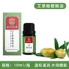 Aceite Esencial de Jengibre y Ajenjo Nanjing Tongrentang para Masaje y Gua Sha, Aceite Vegetal Calmante y Relajante, Artículo Único Dropshipping