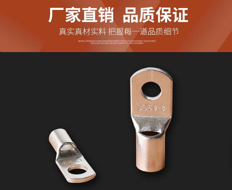 SC铜鼻子1_02.jpg