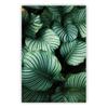 Sudeste Asiático Pintura decorativa tailandesa hoja de plátano pintura colgante grande mural paisaje planta verde selva tropical 3203