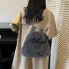 Bolsa Peluda de Mão para Mulheres, Novo Estilo Outono e Inverno, Bolsa Tendência Este Ano, Bolsa de Pelúcia de Nicho de Alto Padrão, Pequena Bolsa de Embreagem