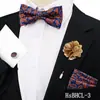 Conjunto de Gravata Borboleta e Lenço Quadrado Masculino com Padrão Escuro Retrô, Acessórios para Traje de Casamento, Gravata Borboleta Paisley, Mais Vendido na Amazon