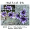Novo Produto Transfronteiriço: Flores de Magnólia Artificiais, Magnólia Estrela de 3 Cabeças, Decoração Roxa para Corredor de Casamento, Decoração de Casa Flores Artificiais Atacado