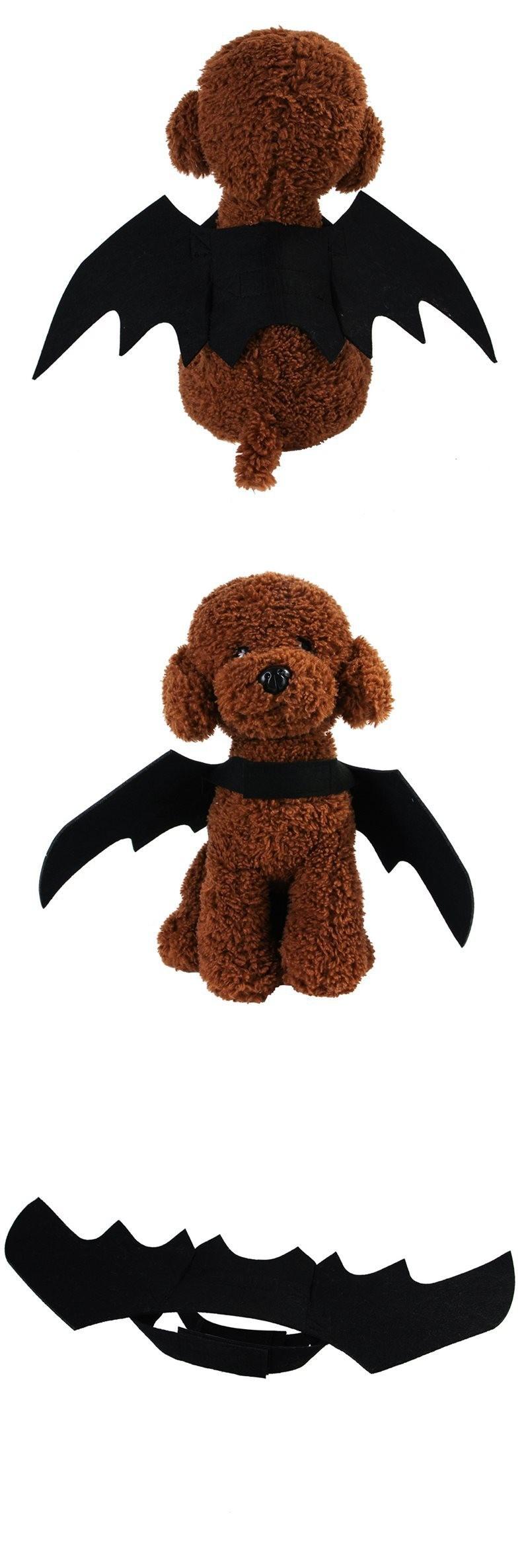 O1CN01B7Gc6r2KaUVEl0T1n_!!2218