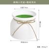 Vaso de Flor de Plástico Simulado Pequeno, Vaso de Planta Verde Nordic de Espuma Aveludada, Vaso de Decoração de Arranjo de Flores Artificiais para Suculentas