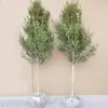 Serviço de Dropshipping de Peça Única para Mudas de Buxo de Haste Única, Mudas de Buxo de Folha Pequena, Plantas em Vasos para Plantio no Jardim e Troncos de Árvores de Bonsai