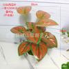 Juego de 12 piezas de vegetación artificial de Amazon con hojas de taro, hojas de sandía y plantas perennes para decoración de pared, alta simulación