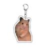 Diseño en CapasLlavero Acrílico de Doble Cara para Mascotas Colgante de Expresión Rana Perro Gato Creativos Accesorios