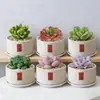 Conjunto fofo de plantas de interior para mesa para jardim de infância, fácil de cultivar e cuidar, pequenas plantas em vasos