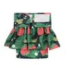 Pantalones menstruales personalizados para perras de Amazon, pantalones menstruales lavables y reutilizables para mascotas