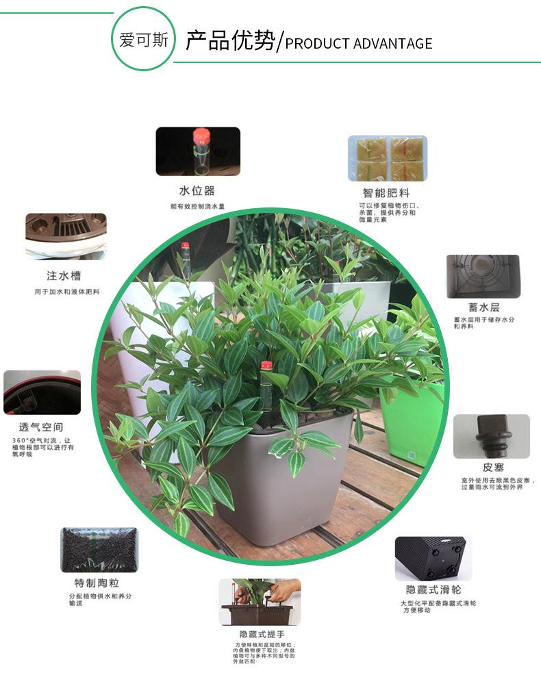 花盆(1004)_05.jpg