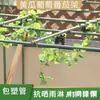 Trellis de uva tubo de acero jardín estante de flores plantación de maracuyá verduras pepino frijoles plantación melón cobertizo soporte para enredaderas varilla de soporte