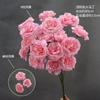 Rosa Jade Flor Artificial Rosa de Boda Flor Falsa Decoración de Guía de Camino para Salón de Bodas Flor Arreglo Floral para Sala de Estar Material Floral