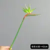 Flores de estrelitzia artificiales pequeñas de PVC al por mayor del fabricante, flor artificial individual, planta verde, flor artificial para decoración del hogar, strelitzia