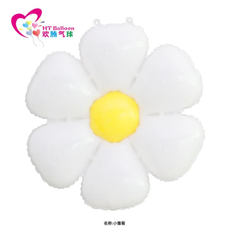 小雏菊ht(1)