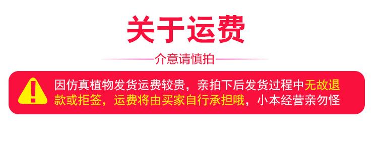 米兰仿真