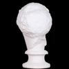 Vendas diretas da fábrica cicatriz rosto deusa estátua de gesso cânhamo rosto Vênus cabeça retrato arte suprimentos esboço material didático cabeça de morcego