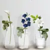 Amazon Villano de Plantas Soporte Hidropónico para Plantas Compañero de Propagación de Plantas Florero de Joyería