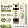 Shampoo Anti-Queda com Folha de Cipreste e Gengibre, Anticaspa e Controle de Oleosidade, Fórmula Tradicional Anti-Queda, Fortalecimento Capilar, Shampoo Volumoso, Refrescante e Macio