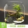 Acuario Casero Oficina Tanque Pequeño para Peces Dorados Escritorio Paisajismo Ecológico Tanque con Elemento de Agua Escalera para Trepar Tanque de Tortuga de Alta Transparencia
