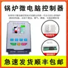 Controlador de Microcomputadora Bt-Glkz-2X Horno de Pellets de Biomasa a Vapor Generador de Vapor Placa de Computadora
