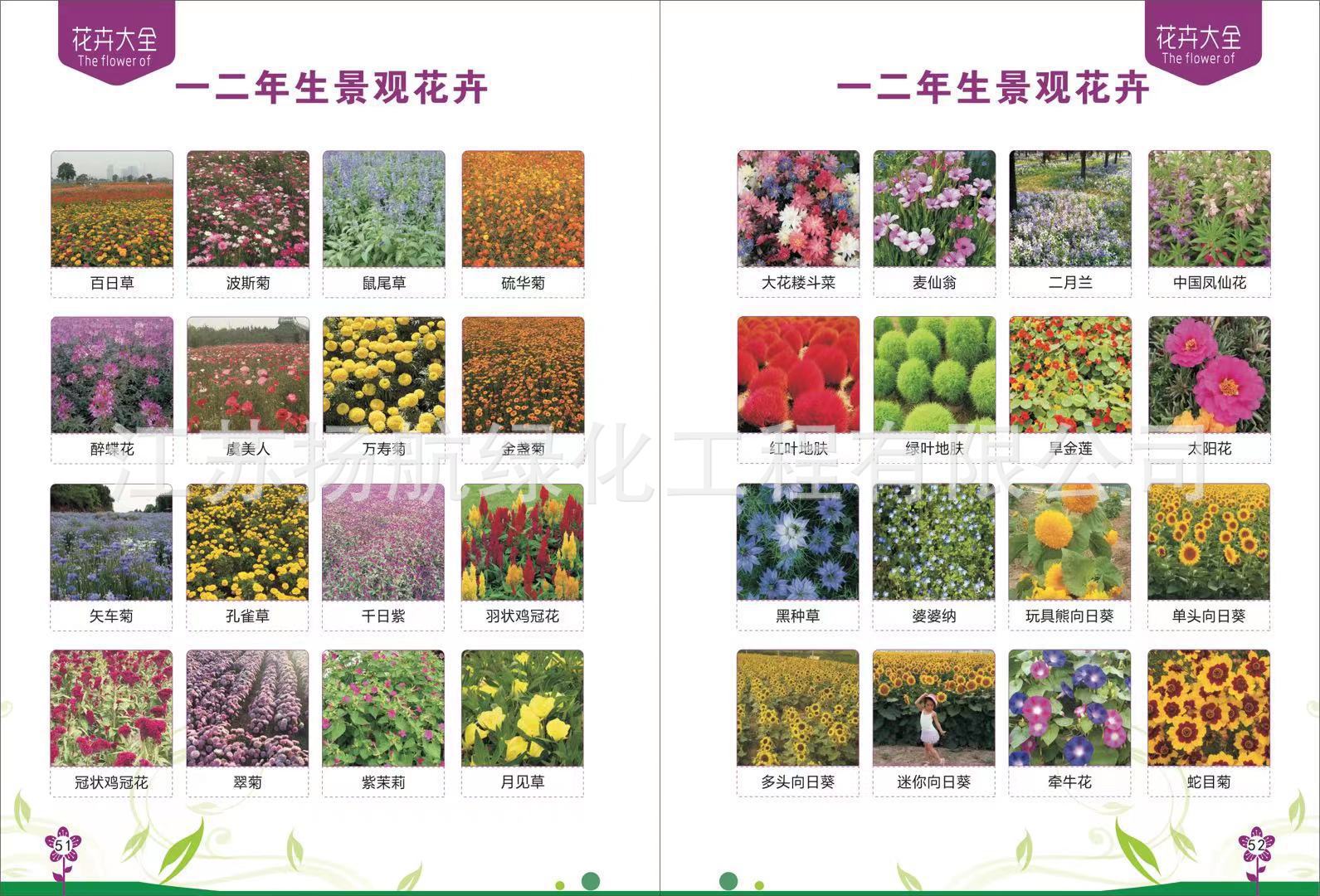 44896a5cf57c85e641431218107225