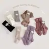 Meia-calça Infantil Primavera e Outono Estilo Pai e Filho Alta Elasticidade Versátil Roupa de Baixo para Bebê Calça Macia Amiga da Pele Meia-calça para Meninas Anti-Pilling
