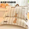 Funda de Almohada de Terciopelo de Leche Engrosada 48X74cm Paquete Doble Invierno para Niños y Adultos Funda Interior para Almohada Individual del Hogar