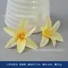 Flores Artificiales Color Champagne, Arreglos de Flores de Seda, Accesorios para el Cabello, Accesorios para Pasadores, Materiales de Manualidades, Decoraciones de Escena Hechas a Mano, Claveles