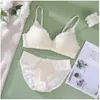 Confortável Lindo Sutiã de Renda nas Costas com Bojo Triângulo Sem Aro Conjunto de Sutiã Push-Up Sexy Conjunto Íntimo Flor Bolha