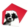 Tarjeta de felicitación de cumpleaños grande nueva transfronteriza, juego de sobres, lindo perrito, tarjeta de felicitación de cumpleaños plegada en blanco