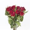 Rosa multifloral de fábrica de Yunnan flor seca en stock venta al por mayor gota de pegamento accesorios de fotografía ramo de rosas de flor seca venta al por mayor