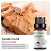Exportación Transfronteriza Aceite Esencial Individual Fragancia Aromaterapia Masaje Aceite Esencial Sándalo Difusor Mayoreo Muestra de 10 ml