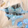 Lingerie Sexy Transfronteiriça da Amazon para Mulheres, Conjunto de Sutiã Push-Up com Renda Floral da Moda em Malha Transparente 26