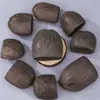 Materiales para campanillas de viento de cáscara de fruta natural al por mayor, cáscaras de fruta de color original asequibles para campanillas de viento de muñecas hechas a mano DIY para estudiantes
