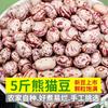 Novos feijões panda agricultores de Yunnan produzem feijão de arroz fresco feijão vermelho florzinha feijão carioca atacado feijões novos feijão olho de gato feijão cilindro grãos grossos