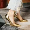 Sapatos de Salto Alto Xadrez Estilo Coreano Novos para o Inverno de 2025 para Mulheres, Saltos Finos Elegantes, Bico Fino Raso, Couro Envernizado, Cor Prata, Sapatos Individuais Estilosos
