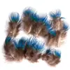 80 Tipos de Penas Naturais de Faisão, Penas Reais, Decorações Nativas Americanas, Acessórios DIY, Acessórios de Cabelo, Peças para Brinquedo de Vara para Gato