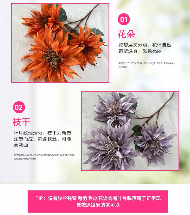 产品细节2-最终.jpg