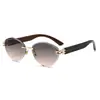 Nuevas Gafas de Sol Europeas Americanas Gafas Ojo de Gato Gafas de Sol de Moda Gafas de Sol Transfronterizas Miao Jia Comercio Exterior Mayorista 2608