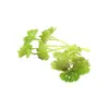 Mini Planta Suculenta Artificial Única Suculenta Falsa Flor Artificial Adorno de Micro Paisaje Oficina Planta Verde Real Artificial Alto