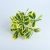 Decoración de Plantas Muro de Plantas Muro de Plantas Verdes Muro de Césped Decoración de Muro Florido Muro de Plantas Verdes E18