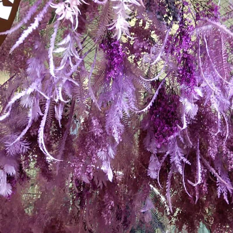 芒草效果1